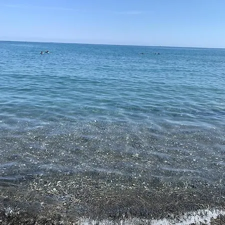 L'orchidea Ventimiglia