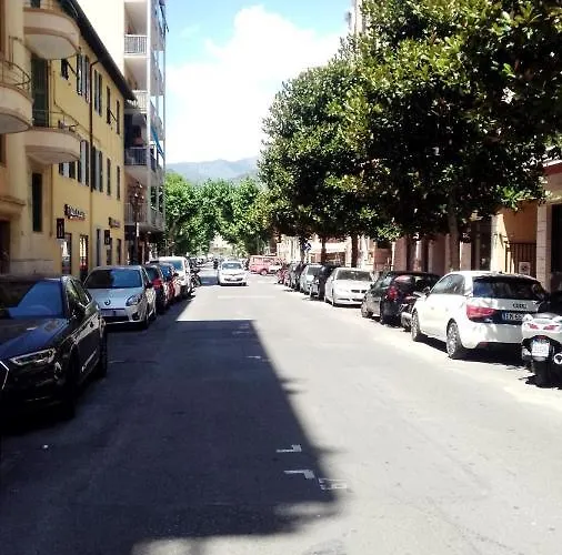 L'orchidea Konukevi Ventimiglia