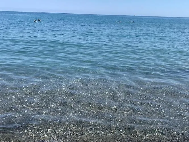 L'orchidea Ventimiglia