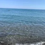 L'orchidea Ventimiglia