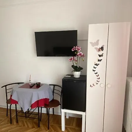 L'orchidea