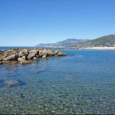 L'orchidea 3*